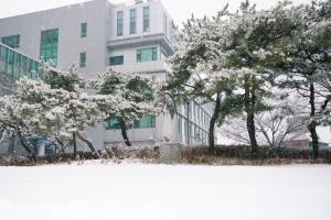 2025년 S[스텔라]관 앞 성모상 관련사진