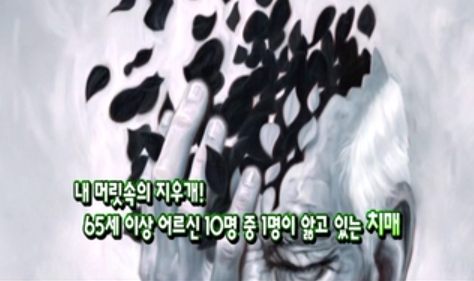 내 머리속의 지우개 치매