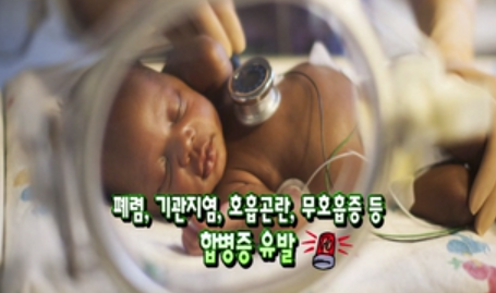 이른둥이 잘키우기