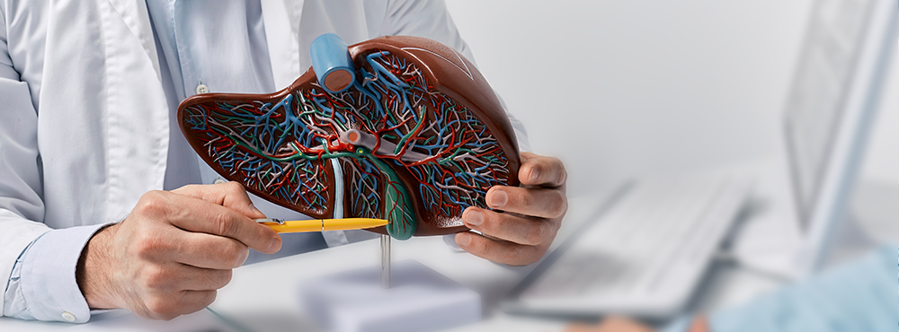 간센터 : 최고수준의 의료진 전문적연구, 치료